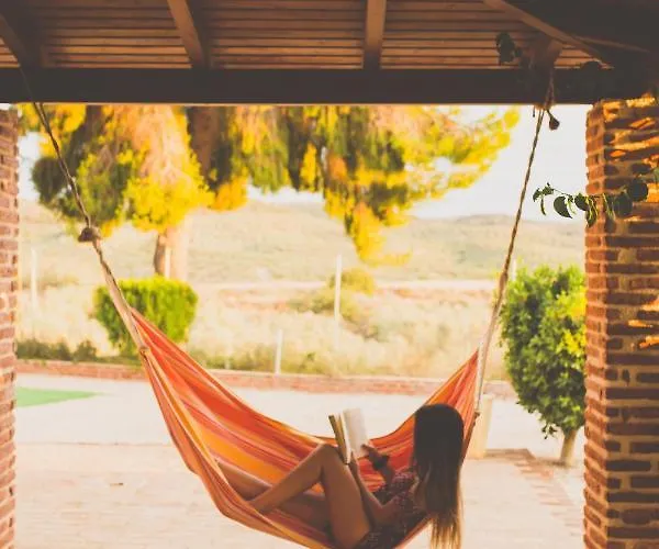 Vintage Stone House Where Calm Lives Amarianos